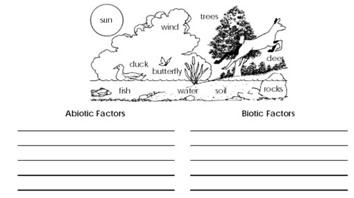 abiotic vs biotic factors answers