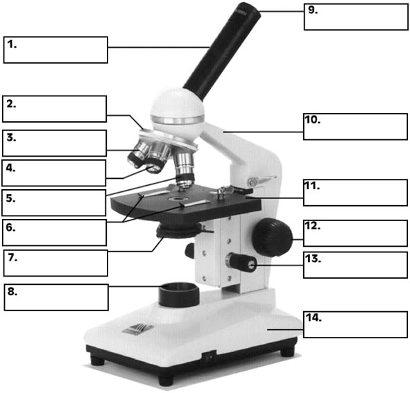 Microscope